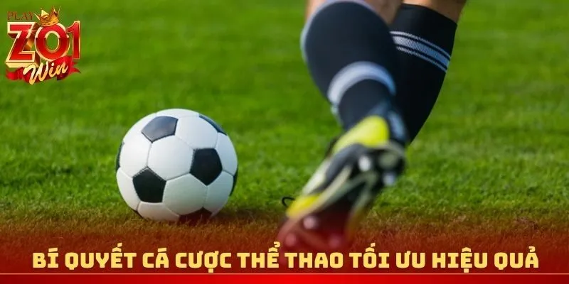 Bí quyết cá cược thể thao tối ưu hiệu quả