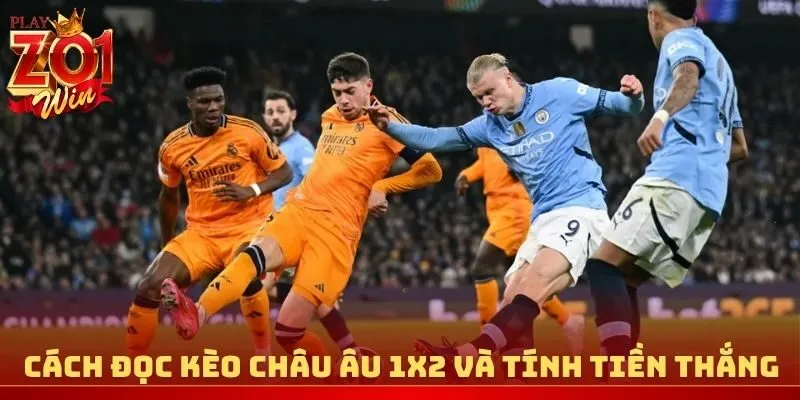 Cách đọc kèo Châu Âu 1X2 và tính tiền thắng