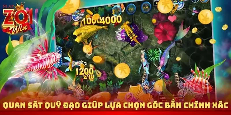 Quan sát quỹ đạo giúp lựa chọn góc bắn chính xác